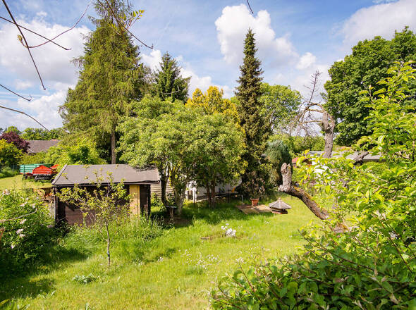 Blick in den Garten 