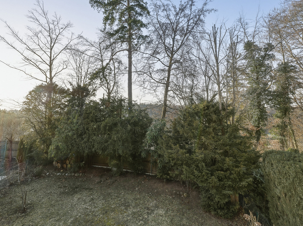 Blick ins Grüne