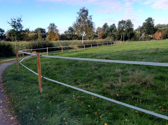 Weg zum Haus