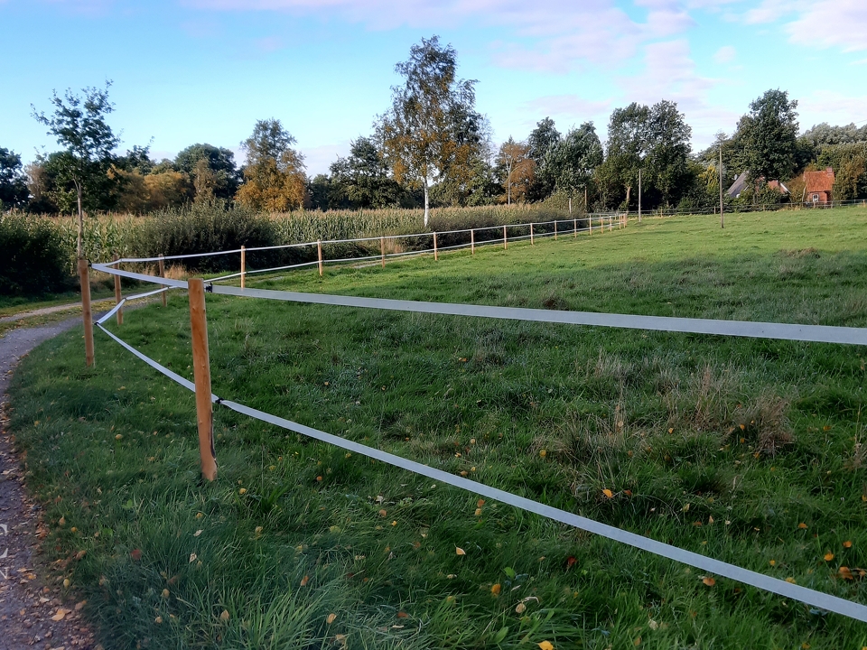 Weg zum Haus