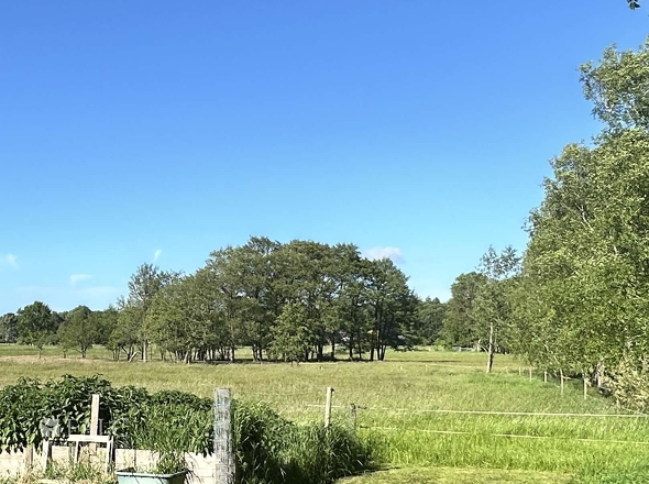 Traumhafter Ausblick