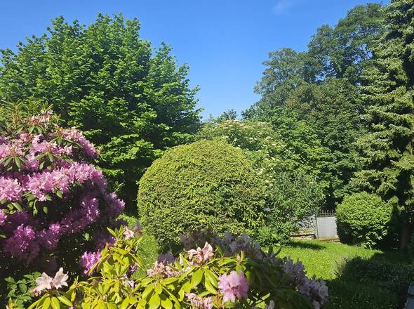 Blick in den Garten