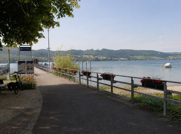 Wangen Steg