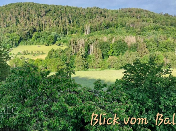 Blick vom Balkon