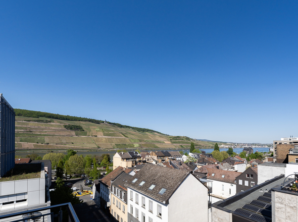 Ausblick