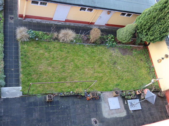 Gemeinsamer Garten