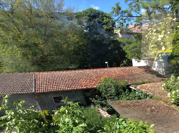 Blick von oben auf Garten/Garagen