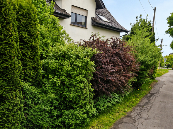 Straßenansicht