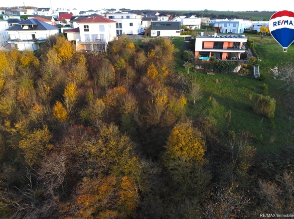 RE/MAX Immobilien DeLux Grundstück Wincheringen