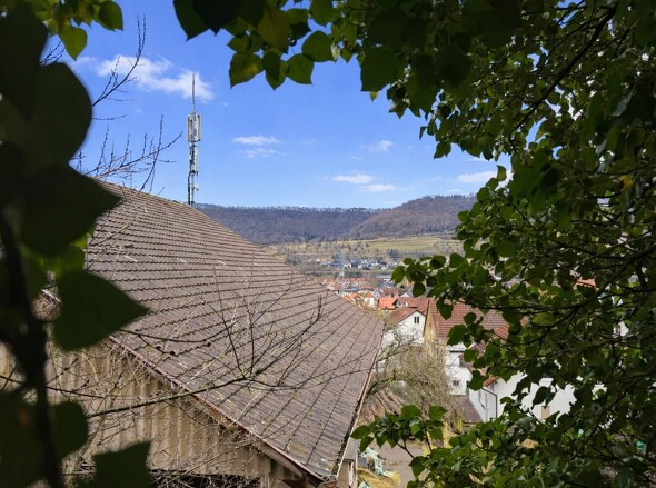 Ausblick