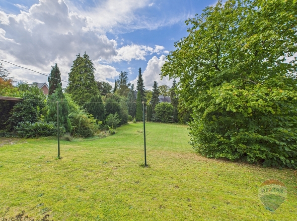 Blick in den Garten