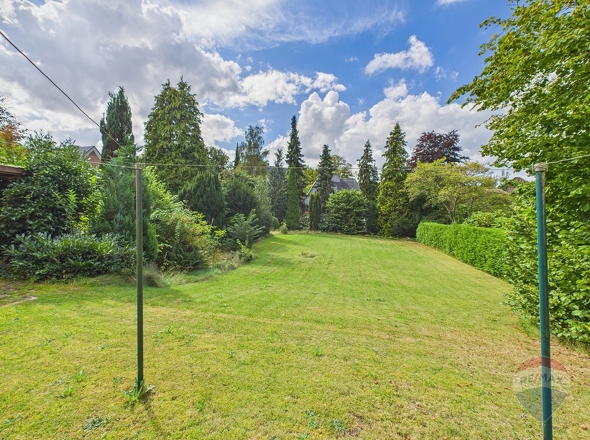 Blick in den Garten