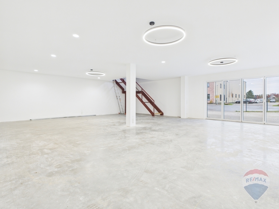 Halle / Ausstellung