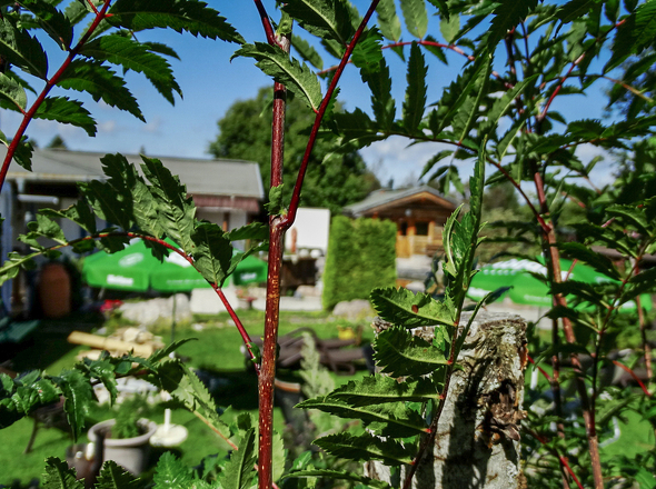 DSC00029