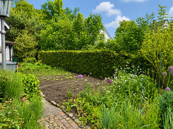 Gemüsegarten