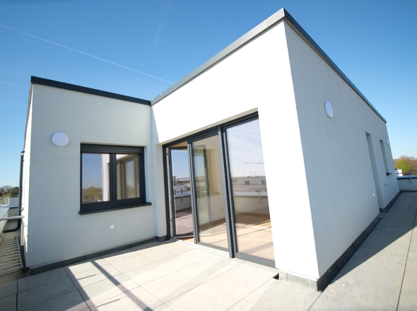  Dach-Terrasse