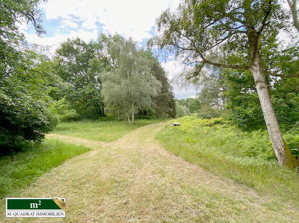 Zuwegung zum großen Garten u. nahem Teich