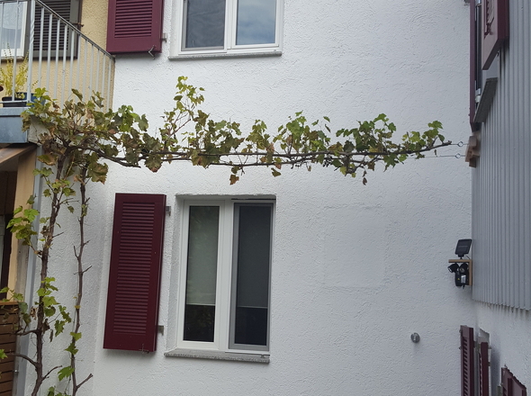 Außenansicht