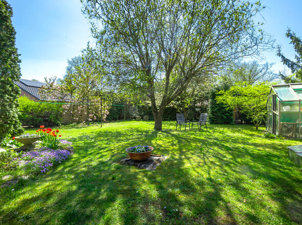 Garten hinter dem Haus