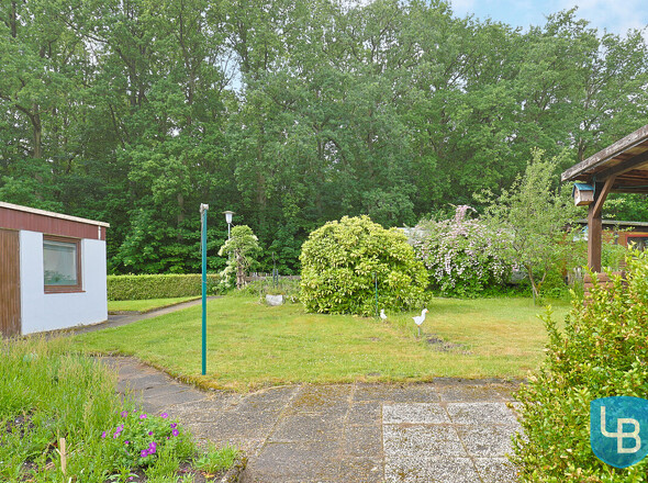 Blick in den Garten