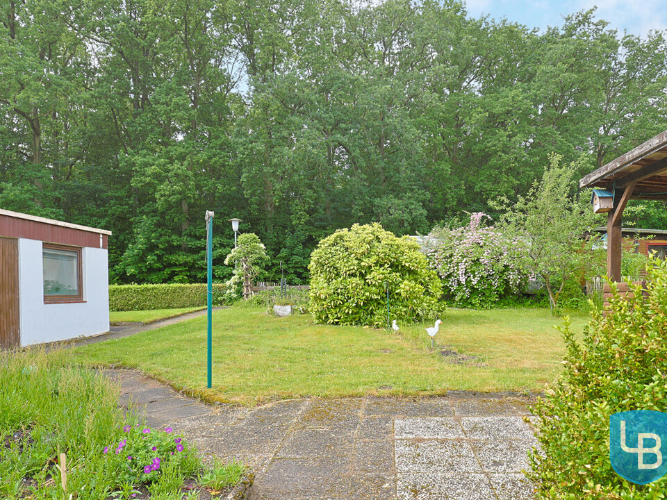 Blick in den Garten
