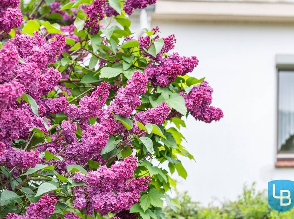 Gartendetails