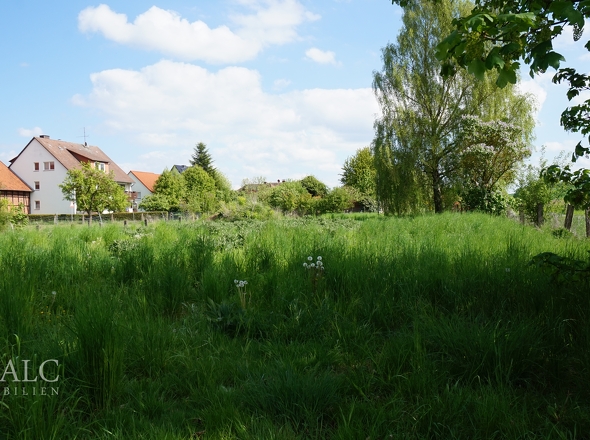 Gartenland