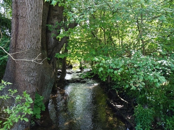 Bachlauf durch das Grundstück