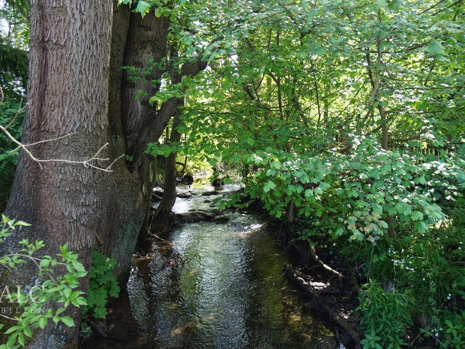 Bachlauf durch das Grundstück
