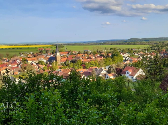 Ausblick
