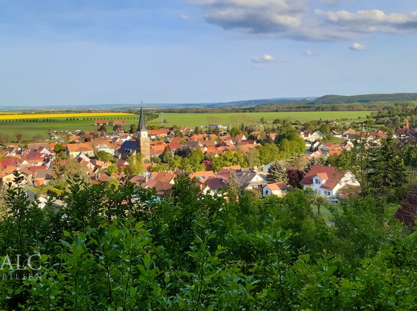 Ausblick