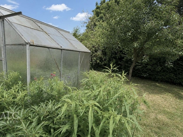 Garten mit Gewächshaus 