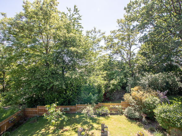 Blick in den Garten