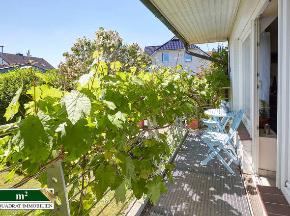 Sonnen-Balkon vorm Küchenfenster, mit Weinreben 