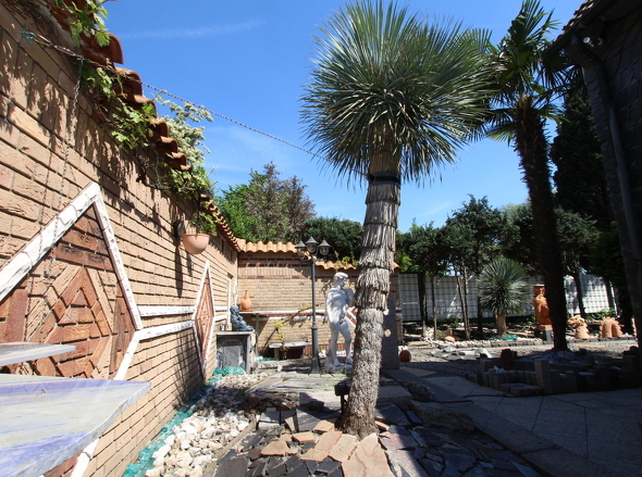 Gartenanlage