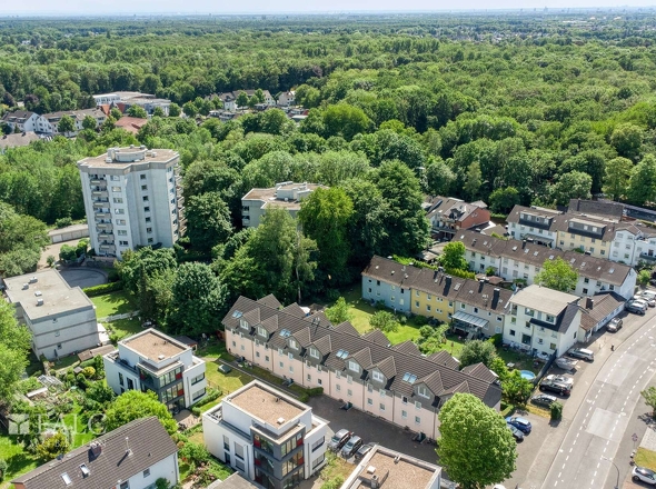 Bergisch Gladbach - Hand im Grünen