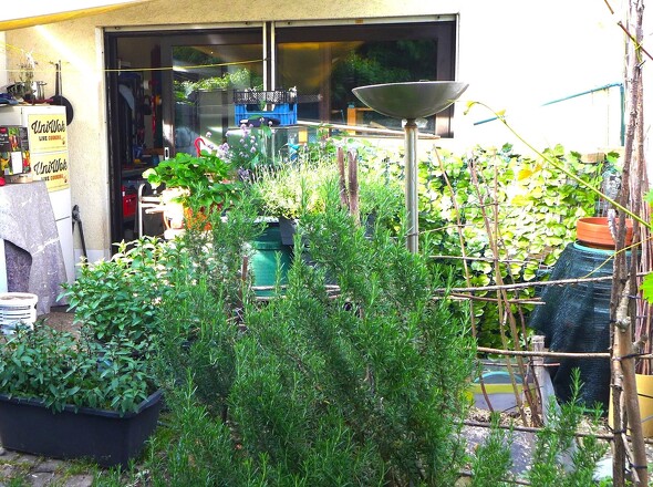 Garten 2