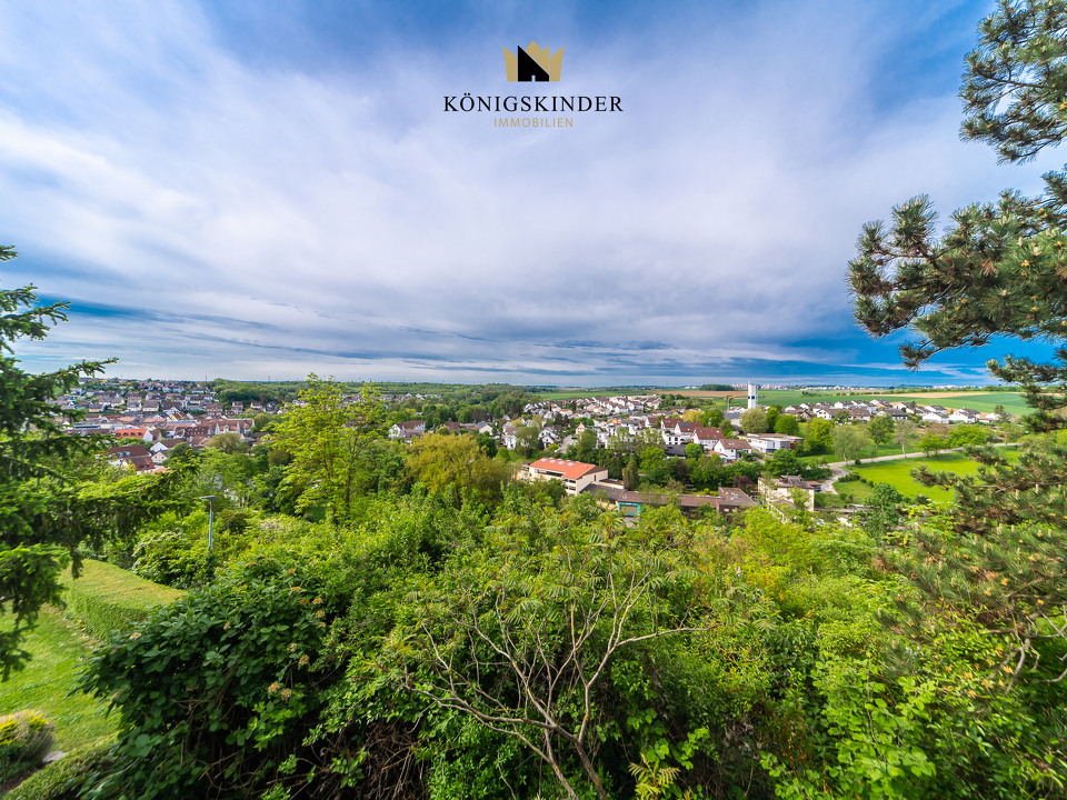 Real Estate Title Image Background