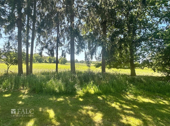 Ausblick hinter dem Garten