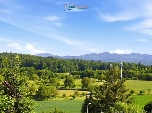 Aussicht vom Haus aus
