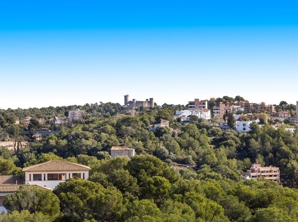 www.panorama-mallorca.de