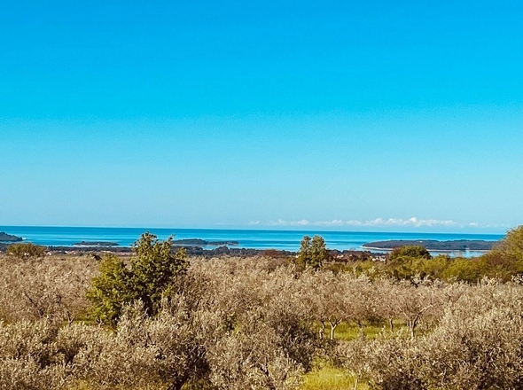 panorama-scouting-H3485-17