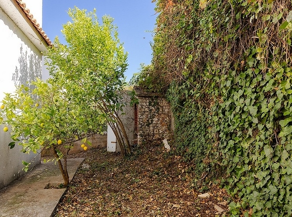 panorama-scouting-H3973-16