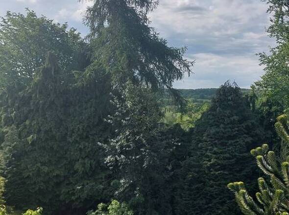 Blick in den Garten