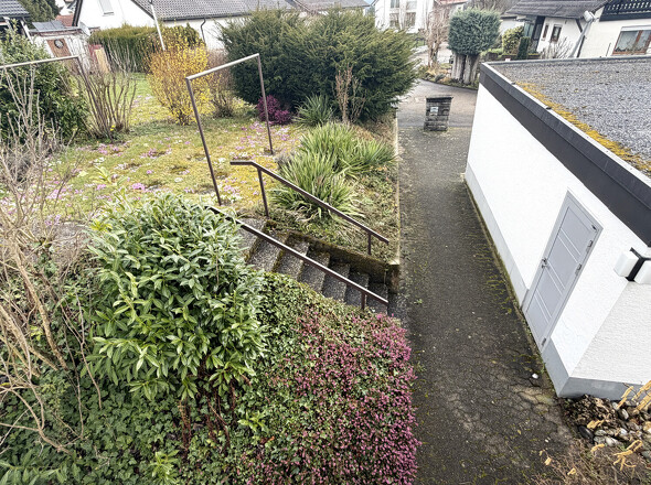 Blick in den Garten
