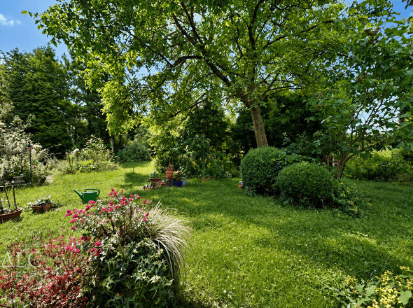Garten