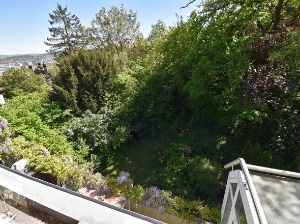 Gartenblick