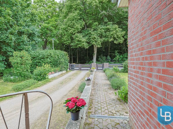 Auffahrt und Gehweg 