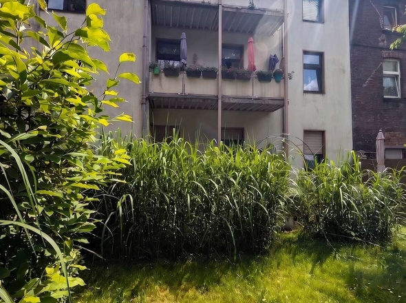 Garten links 3