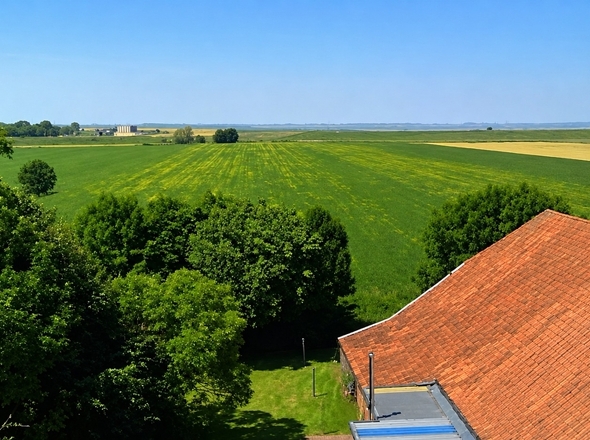 Luftaufnahme hinten